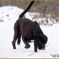 Ducati Neige 01.03.18 