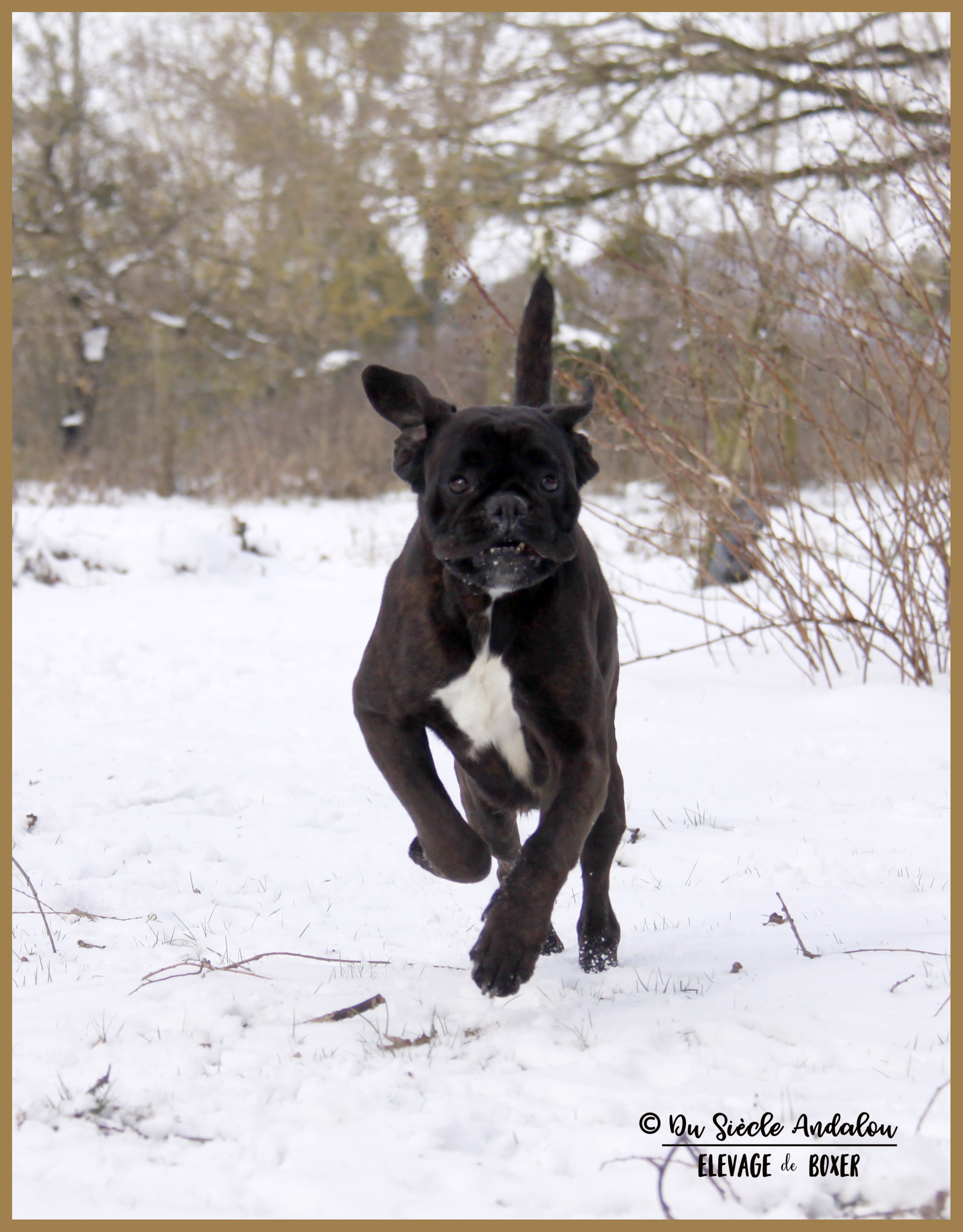 Ducati Neige 01.03.18 