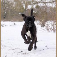 Ducati Neige 01.03.18 