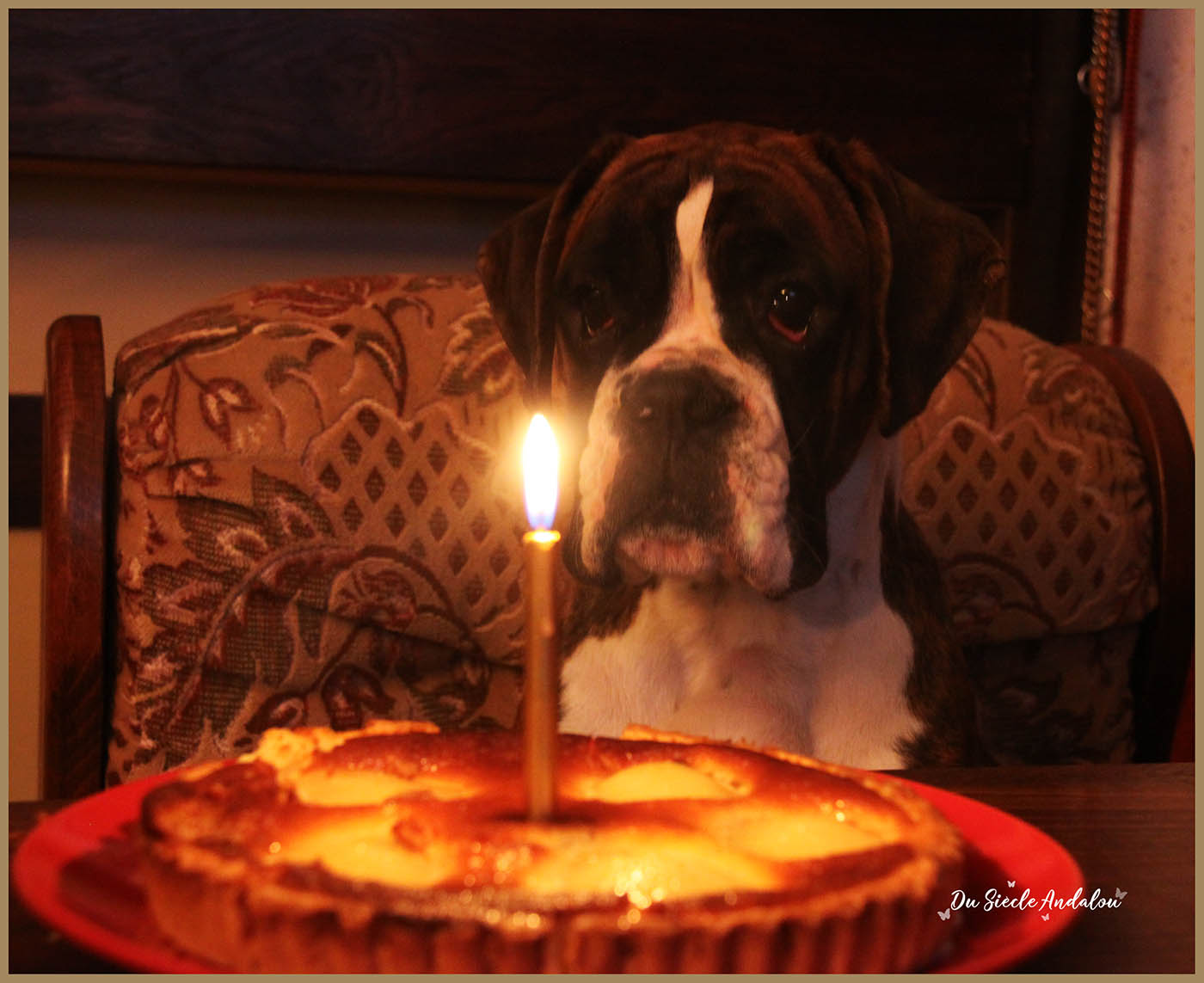 Engy 1 an 11.03.2010