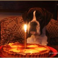 Engy 1 an 11.03.2010