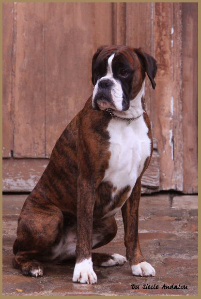 Engy, Décembre 2009 