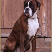 Engy, Décembre 2009 