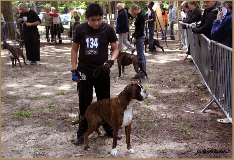 Engy Forges Les Eaux 2011  