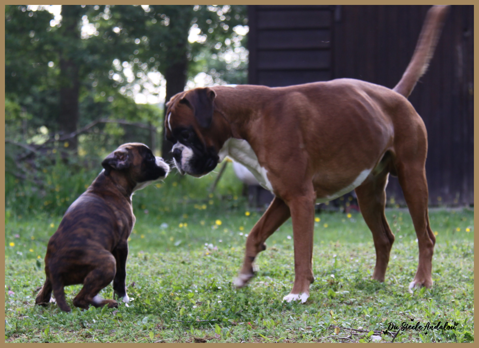 Engy et Chelton 19.05.09  