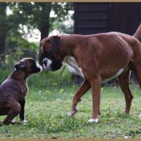 Engy et Chelton 19.05.09  