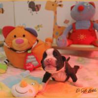 Tessi 5 jours
