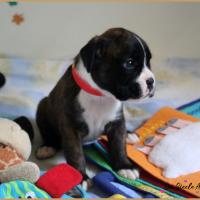 Olly, 24 jours 07.08.18