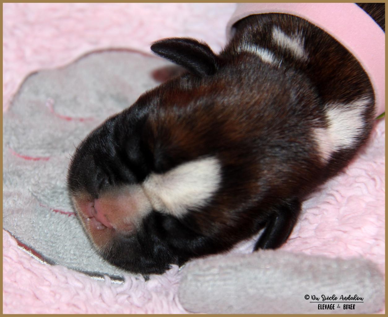 Oxane, 3 jours 04.01.18