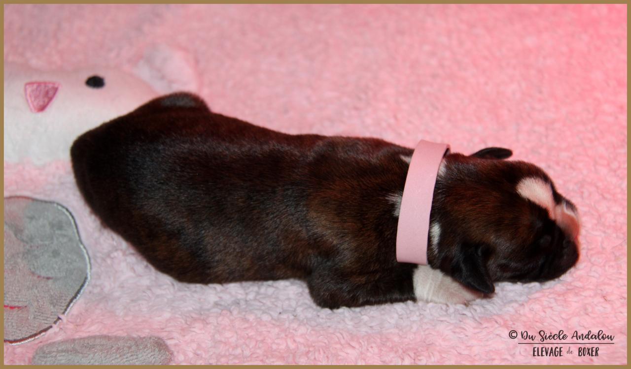 Oxane, 3 jours 04.01.18