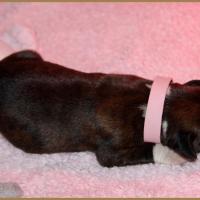 Oxane, 3 jours 04.01.18