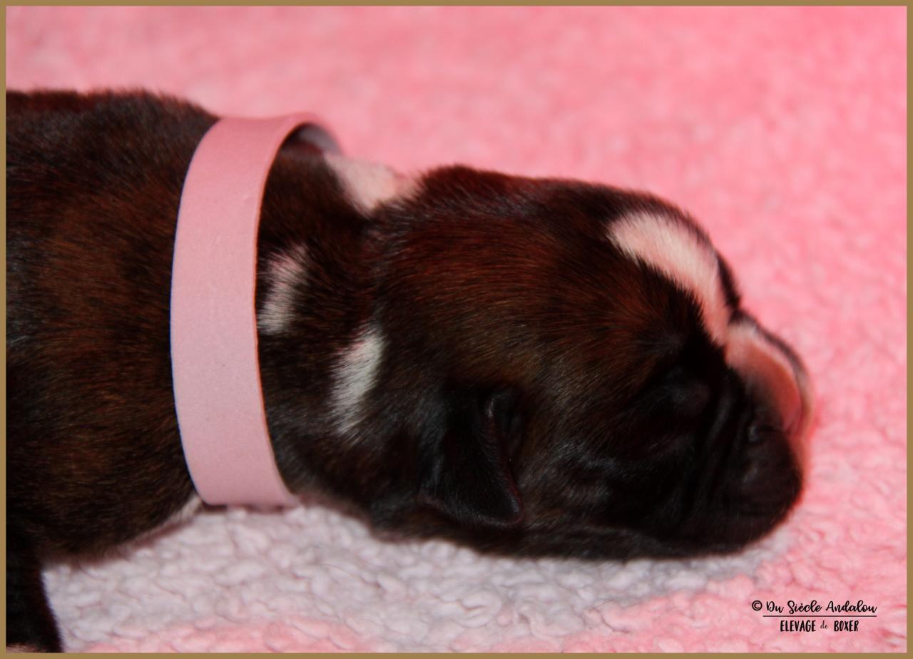 Oxane, 3 jours 04.01.18