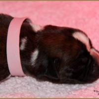 Oxane, 3 jours 04.01.18