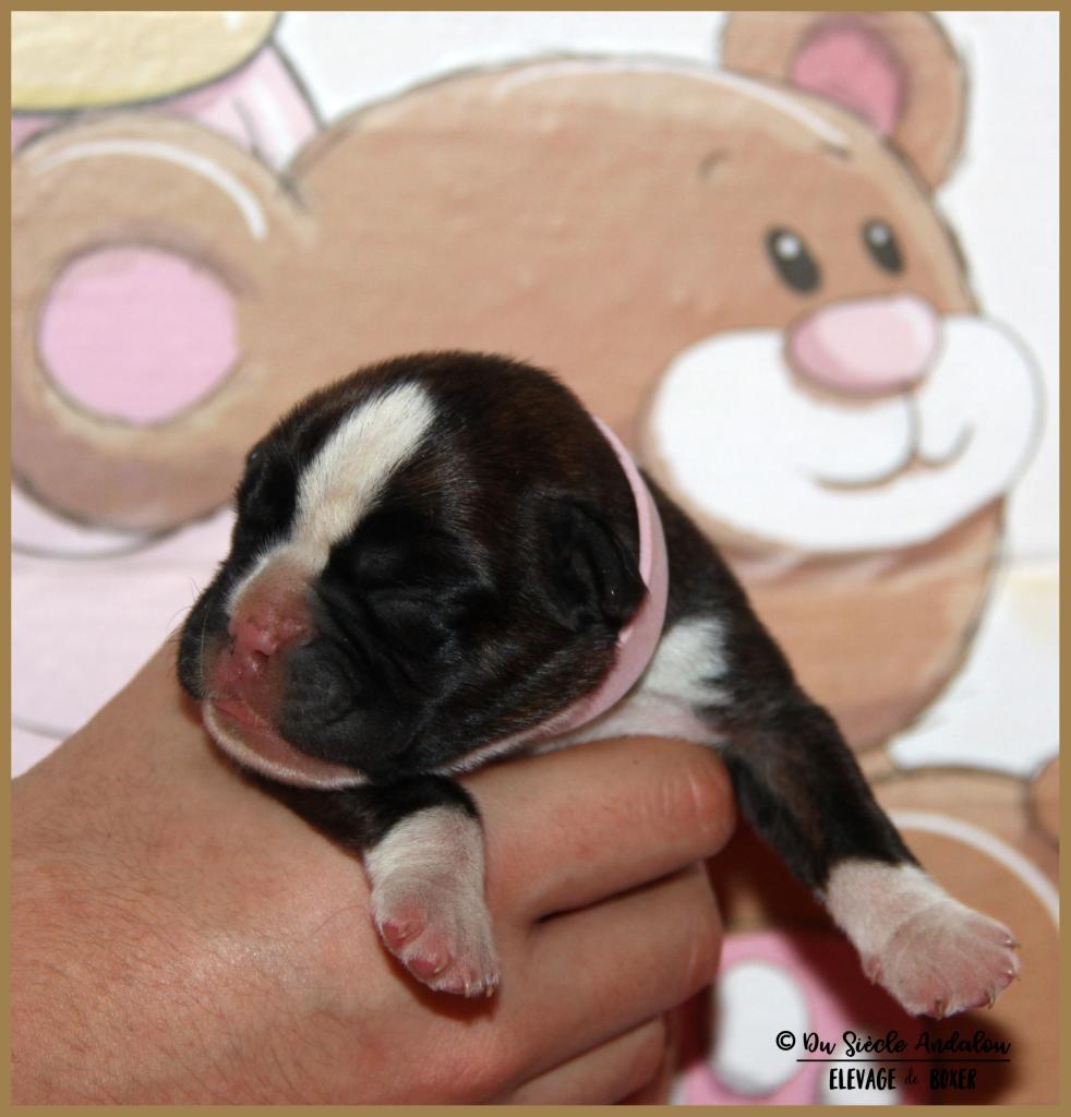 Oxane, 3 jours 04.01.18