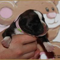 Oxane, 3 jours 04.01.18