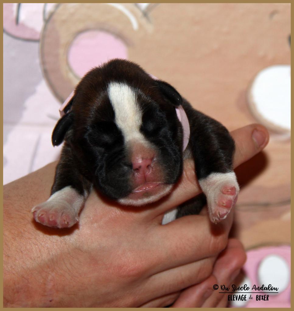 Oxane, 3 jours 04.01.18