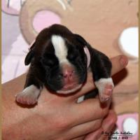 Oxane, 3 jours 04.01.18