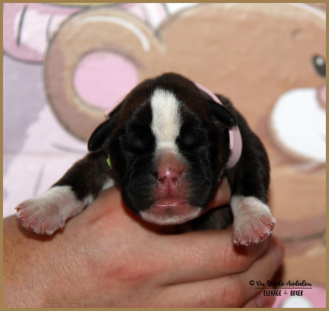 Oxane, 3 jours 04.01.18