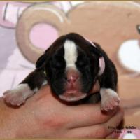 Oxane, 3 jours 04.01.18