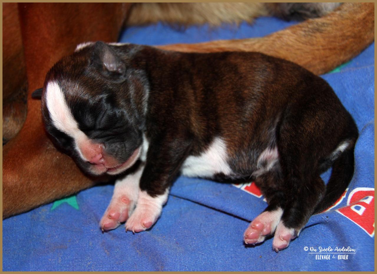 Oxane, 3 jours 04.01.18