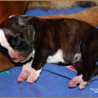 Oxane, 3 jours 04.01.18