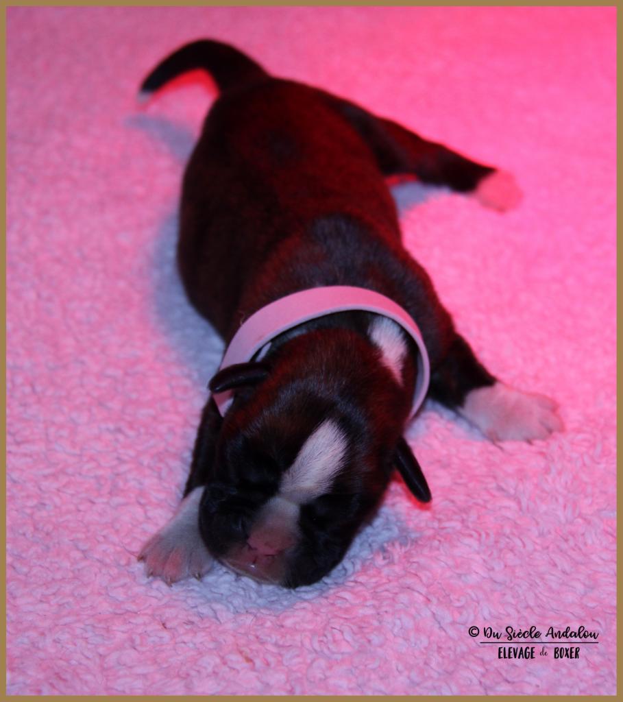 Oxane, 3 jours 04.01.18