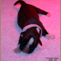 Oxane, 3 jours 04.01.18