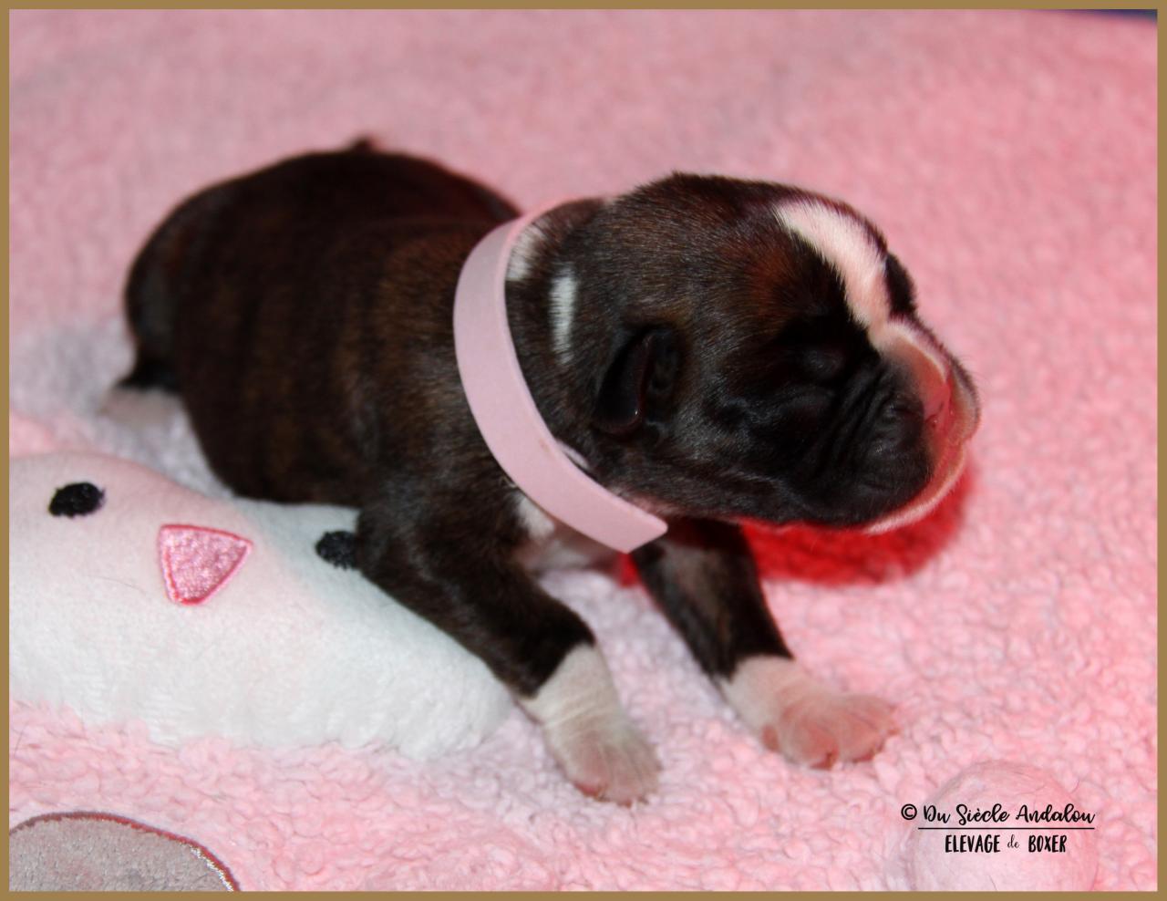 Oxane, 3 jours 04.01.18