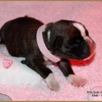 Oxane, 3 jours 04.01.18