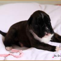 Oovea, 15 jours 28.07.18 