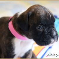 Oovea,  24 jours 06.08.18