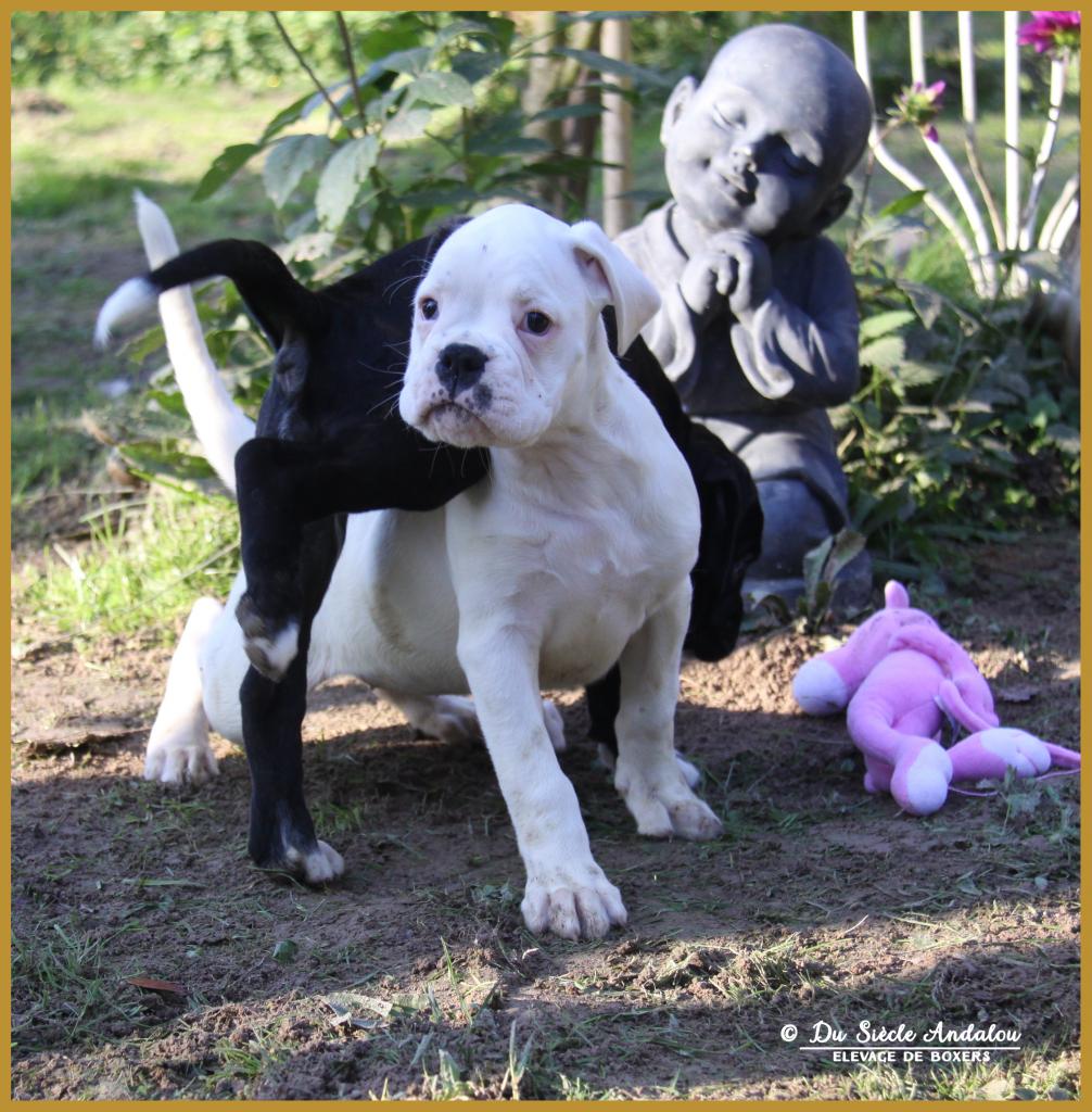 Molly & Milka 59 Jours