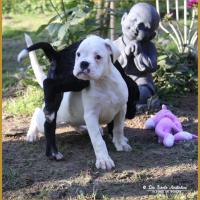 Molly & Milka 59 Jours