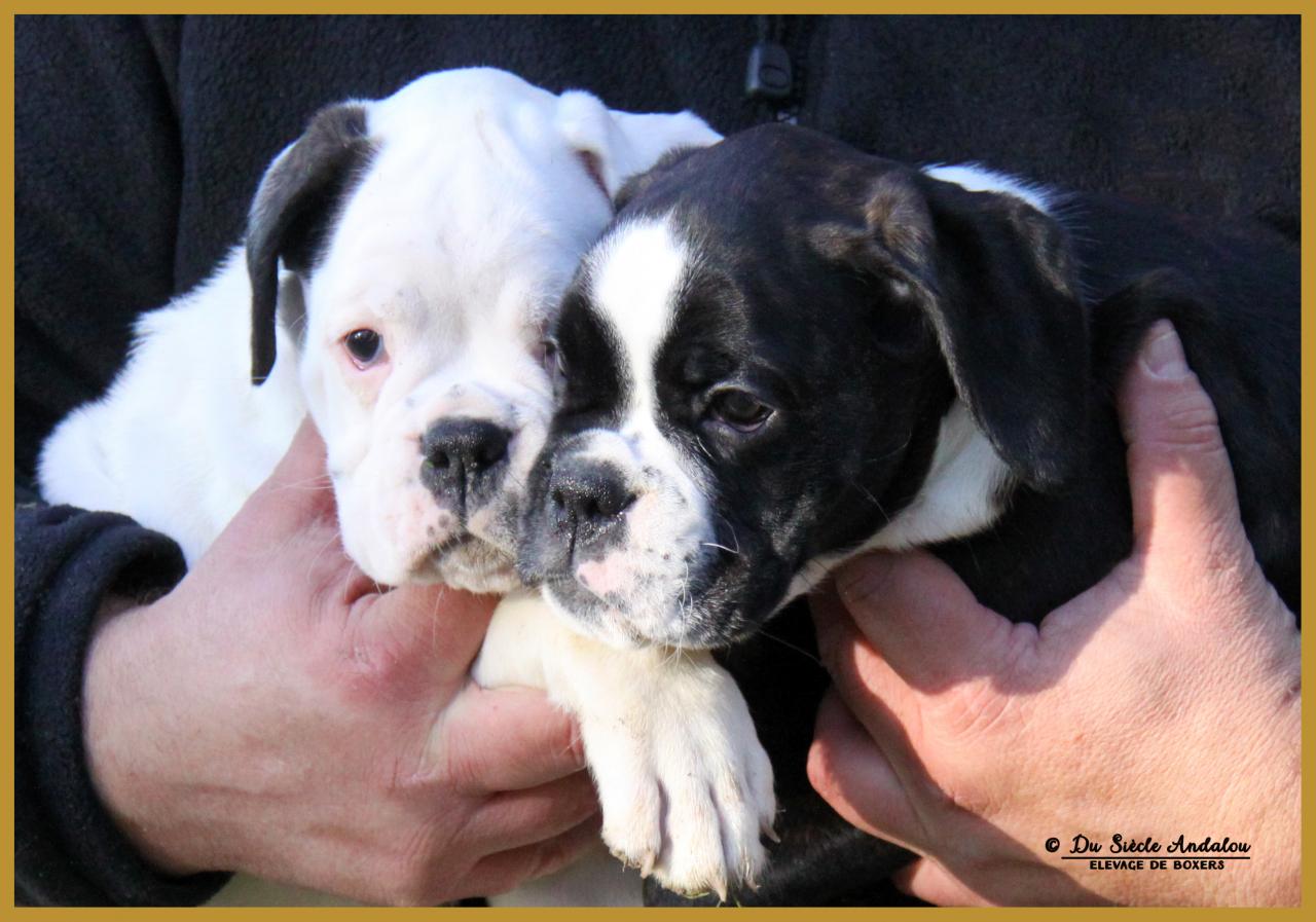 Molly & Milka 59 Jours