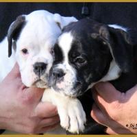 Molly & Milka 59 Jours