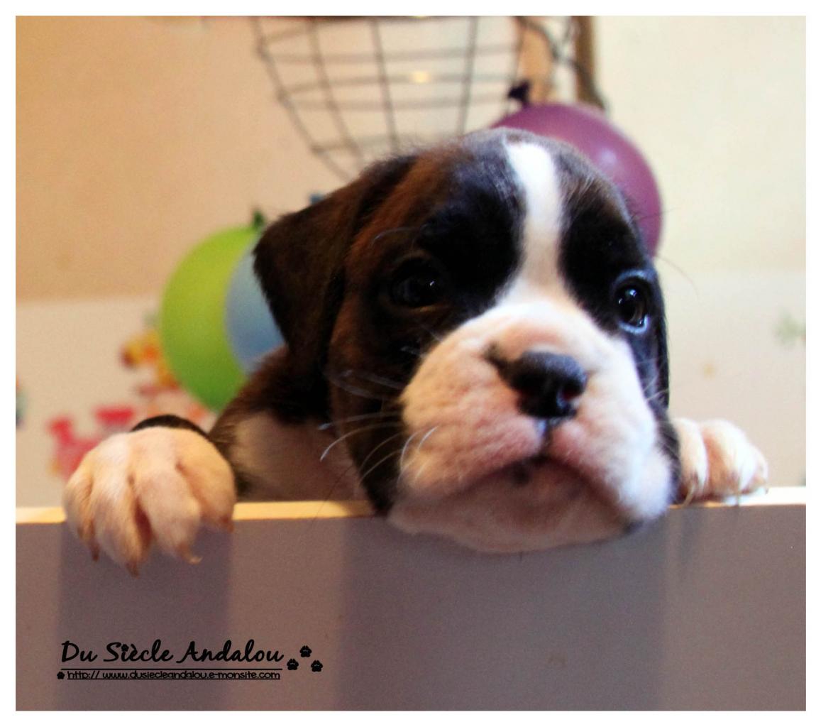 Nos bébés, Un Mois