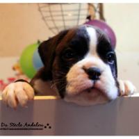 Nos bébés, Un Mois