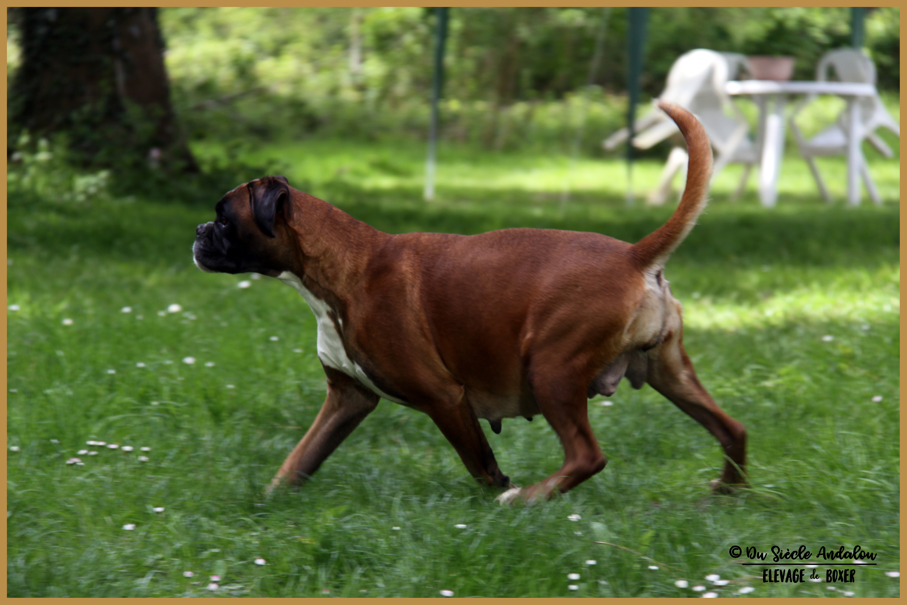 Hanae 62 jours gestation 16.04.17