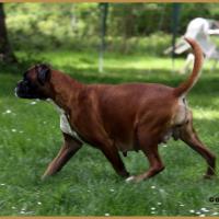 Hanae 62 jours gestation 16.04.17