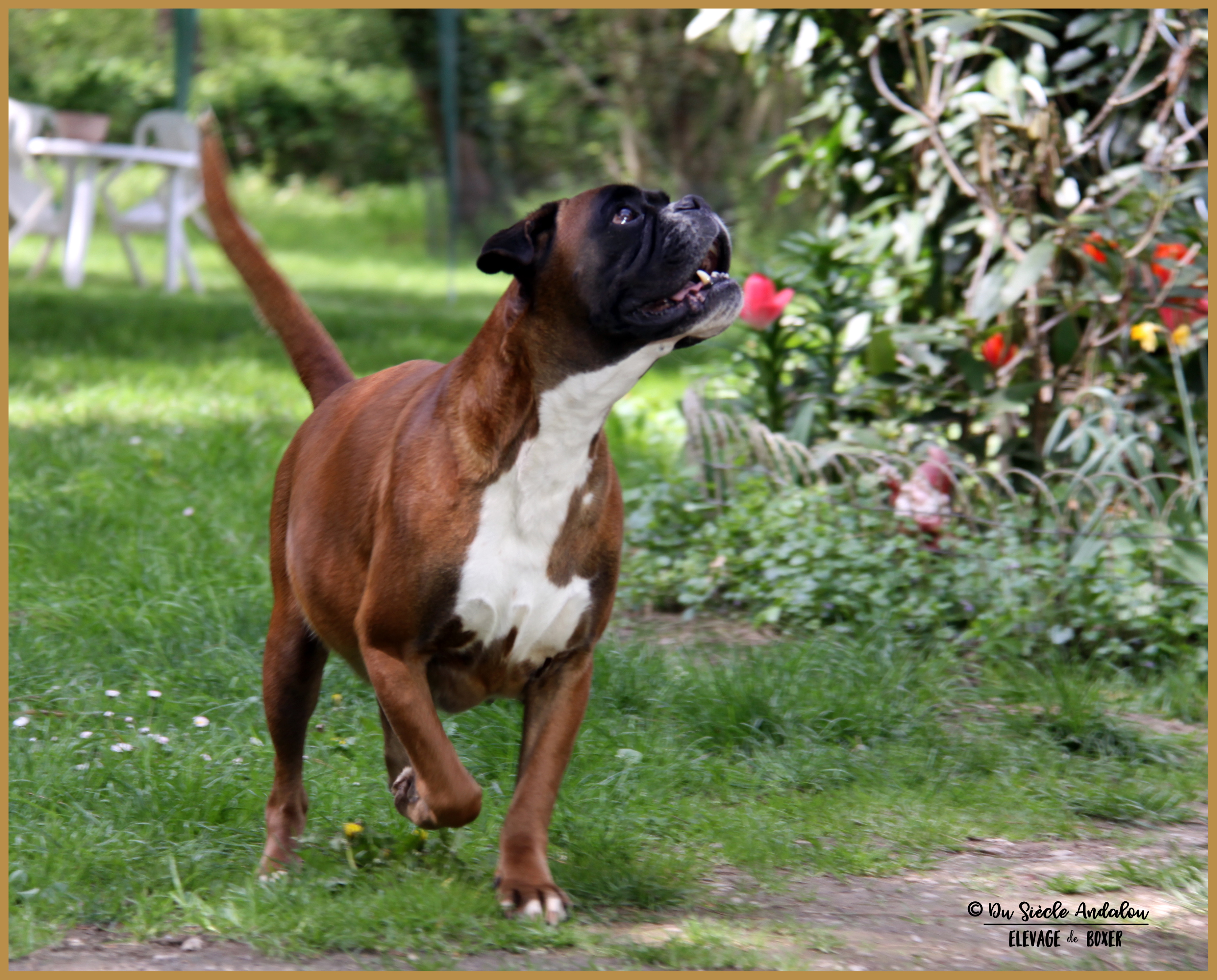 Hanae 62 jours gestation 16.04.17