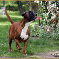 Hanae 62 jours gestation 16.04.17