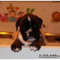 Nos bébés, Un Mois