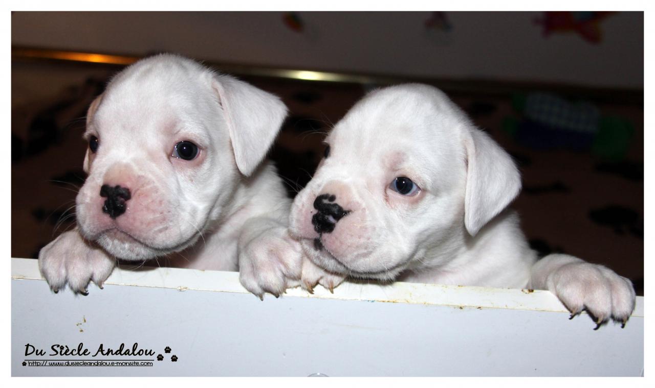 Nos bébés, Un Mois