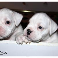 Nos bébés, Un Mois