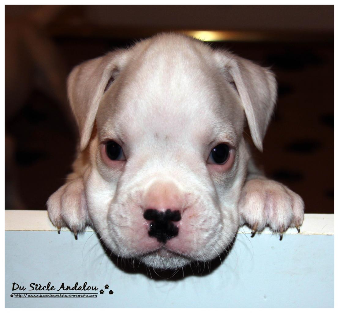 Nos bébés, Un Mois