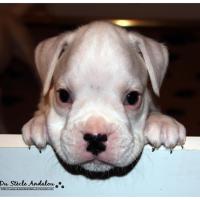 Nos bébés, Un Mois