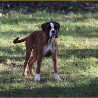 Hispania 05 Mars 2015