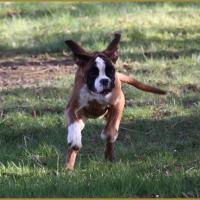 Hispania 05 Mars 2015