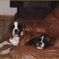 Hispania 05 Mars 2015