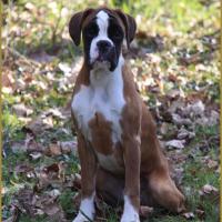 Hispania 05 Mars 2015